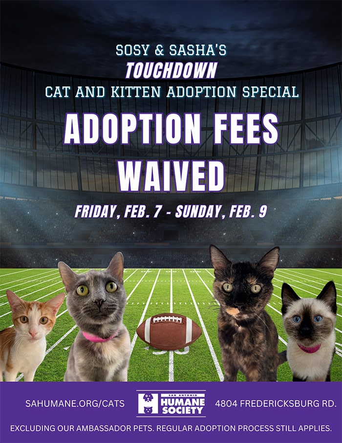 SosySashas-Touchdown-Adoption-Special-2025