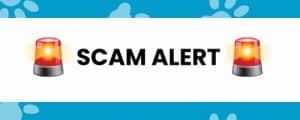 scam alert