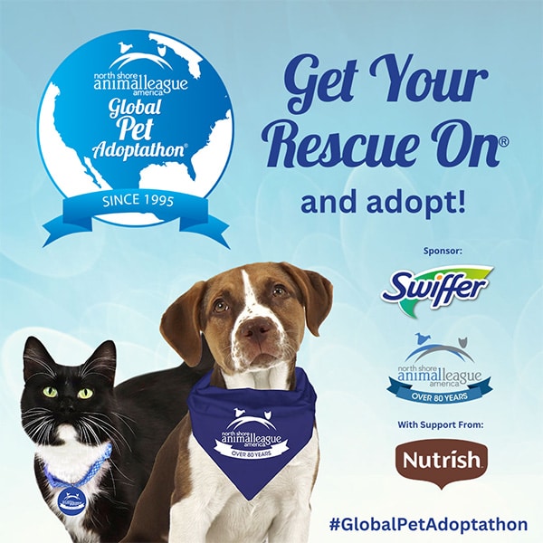 Animal League Pet Adoptathon