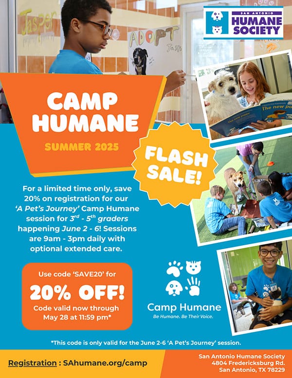 Summer Camp Flash Sale