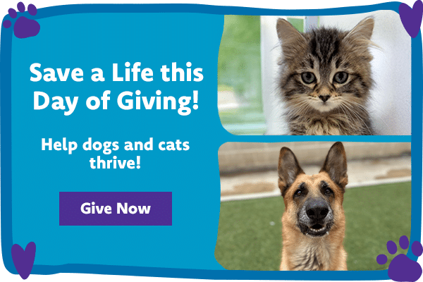 Save a Life this Day of Giving