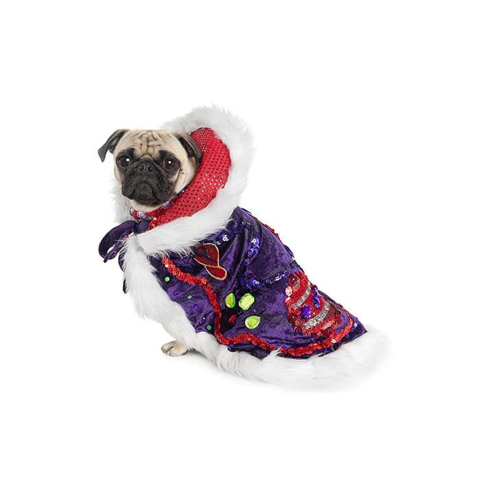 Boogie Duchess of the Chew Toy 2025