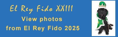 El Rey Fido XXIII view 2025 photos