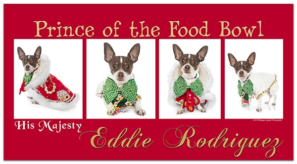 Eddie Prince of the food bowl 2025