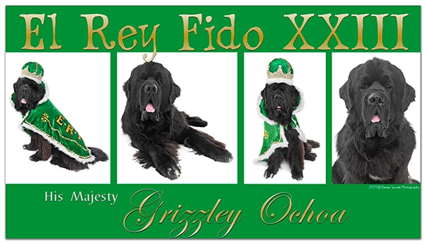 Grizzley El Rey Fido 2025