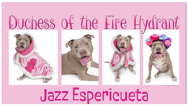 Jazz Duchess of the Fire Hydrant