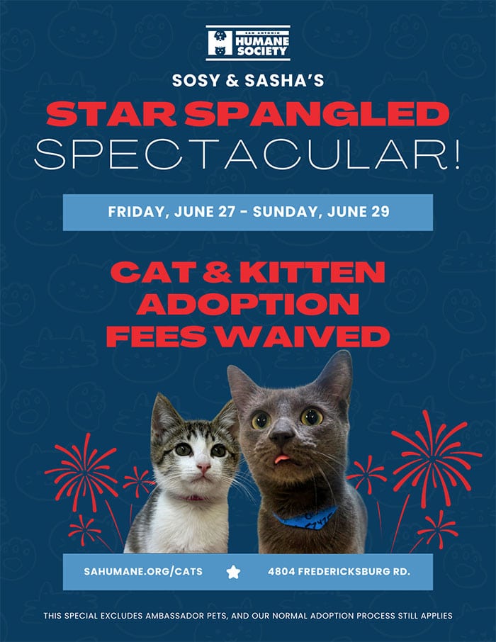Sosy and Sasha's star spangled spectacular adoption event