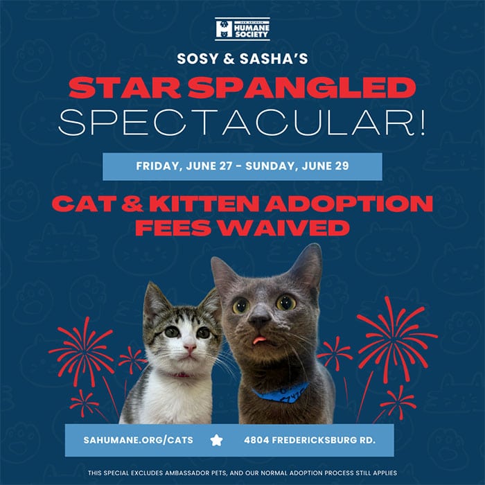 Sosy and Sashas spectacular adoption event