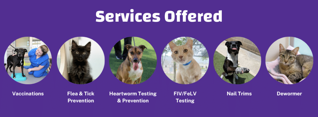 Prevention services offered
