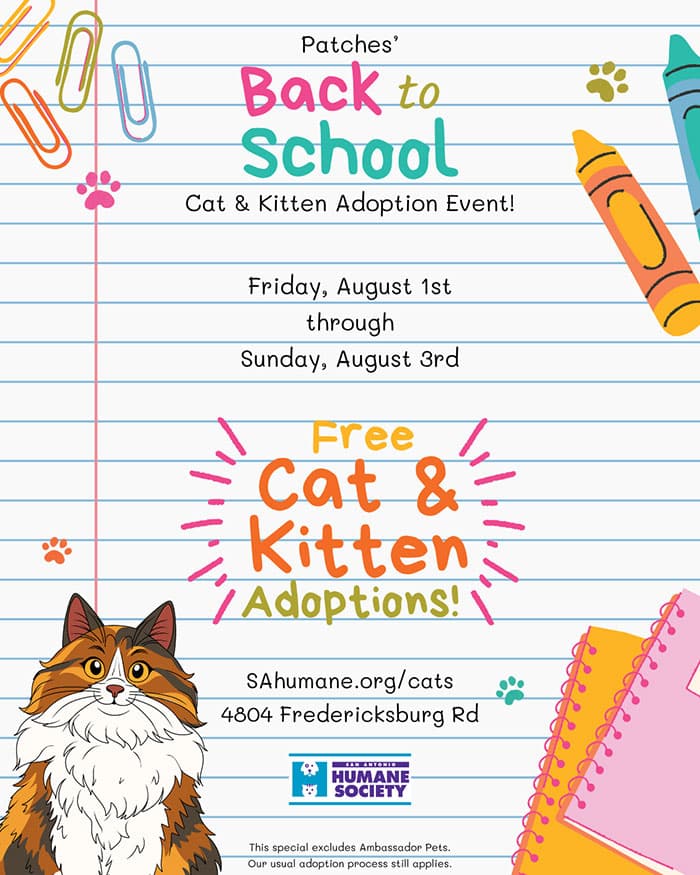 Back to school cat and kitten free adoption event