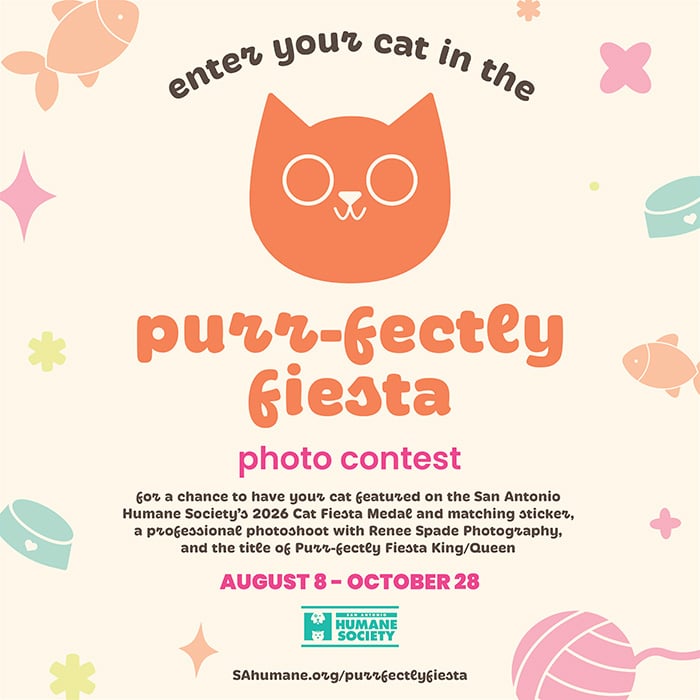 Purrfectly fiesta