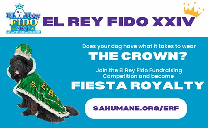 El Rey Fido Fundraiser Competition