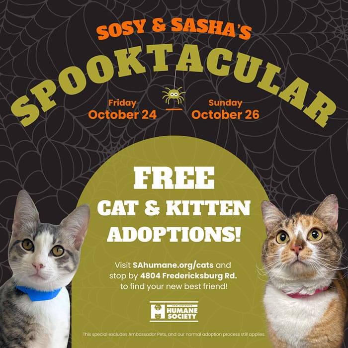 Sosy and Sasha's Spooktacular adoption event