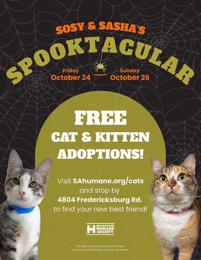 Sosy and Sasha's Spooktacular Adoption Event