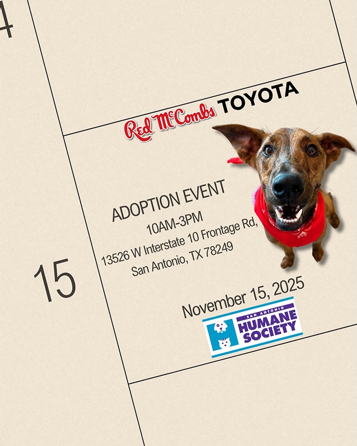 Adoption event at Red McCombs Toyota