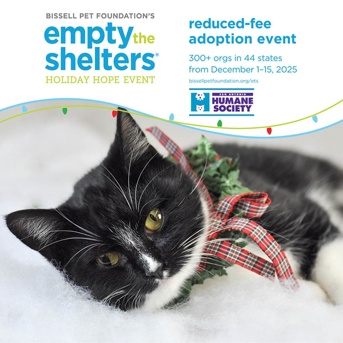 Empty the Shelters