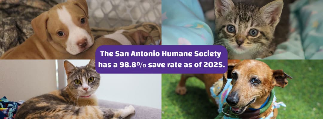 SAHS No Kill Shelter Save Rate