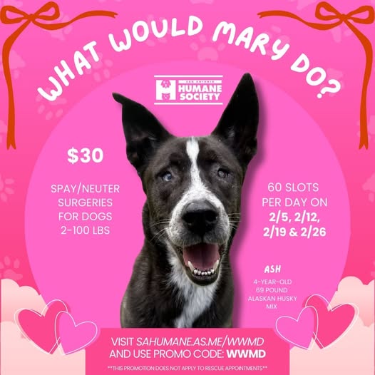 WWMD February Spay/Neuter Promotion