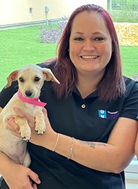 Transfer & Intake Supervisor