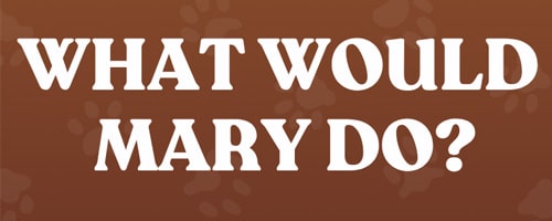 What Would Mary Do?