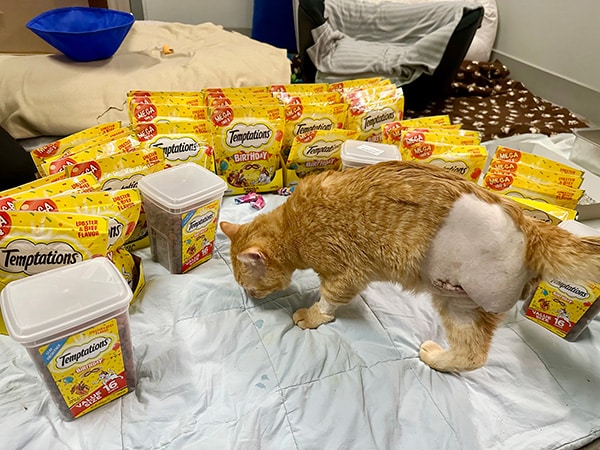 Dwayne - Medical story