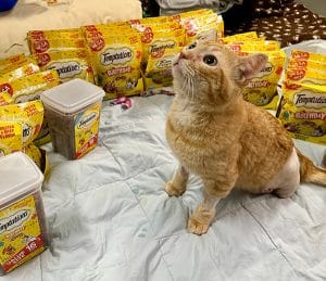 Dwayne - Medical story