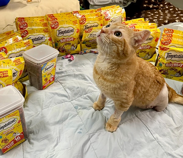 Dwayne - Medical story