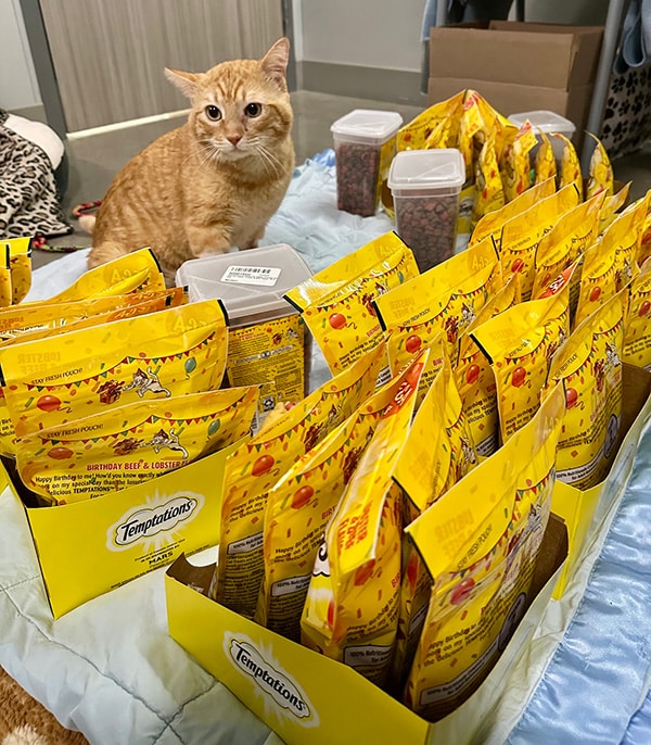 Dwayne - Medical story