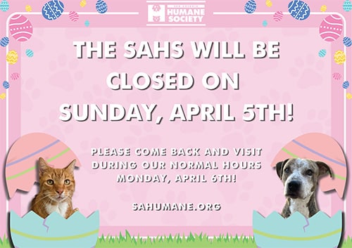 The SAHS will be closed for Easter Sunday