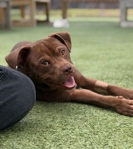 Shirly medical story