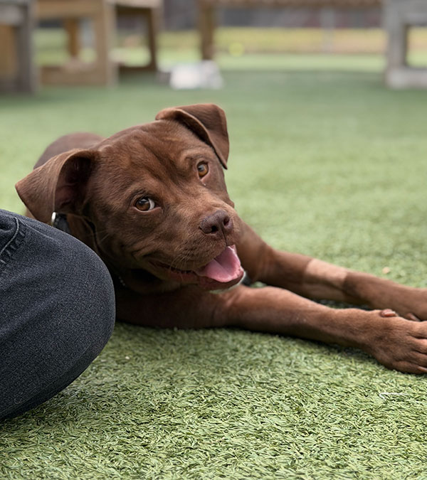 Shirly medical story