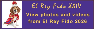 El Rey Fido and the Royal Court 2026