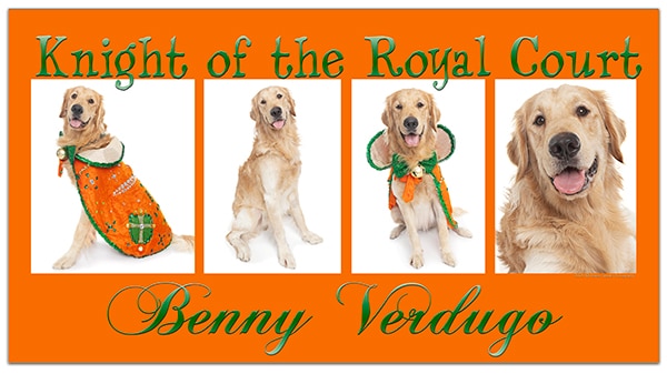 Knight of the Royal Court 2026