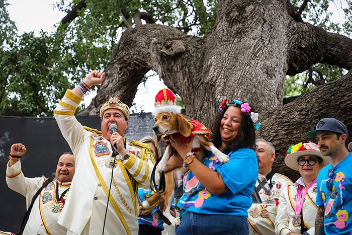 Rey Feo Crowns El Rey Fido 2026