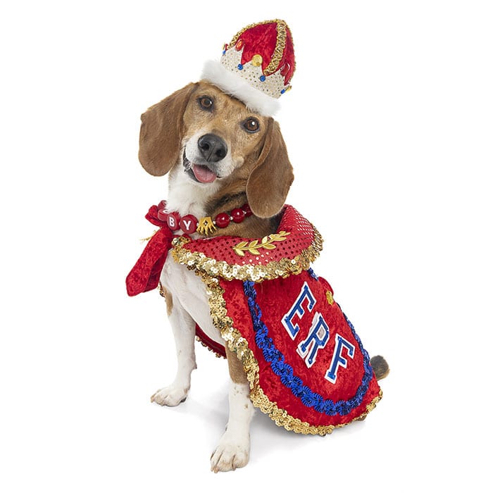 Toby, El Rey Fido XXIV ERF 2026