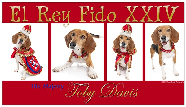 El Rey Fido XXIV