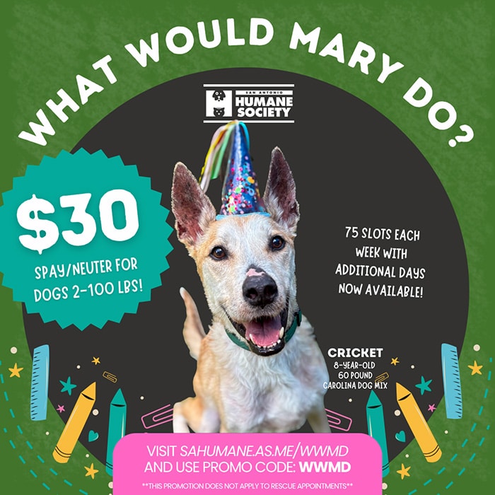 Our sponsored What Would Mary Do? Spay/Neuter special